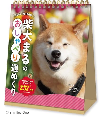 Amazon | 新日本カレンダー 2025年 カレンダー 卓上 柴犬まるの